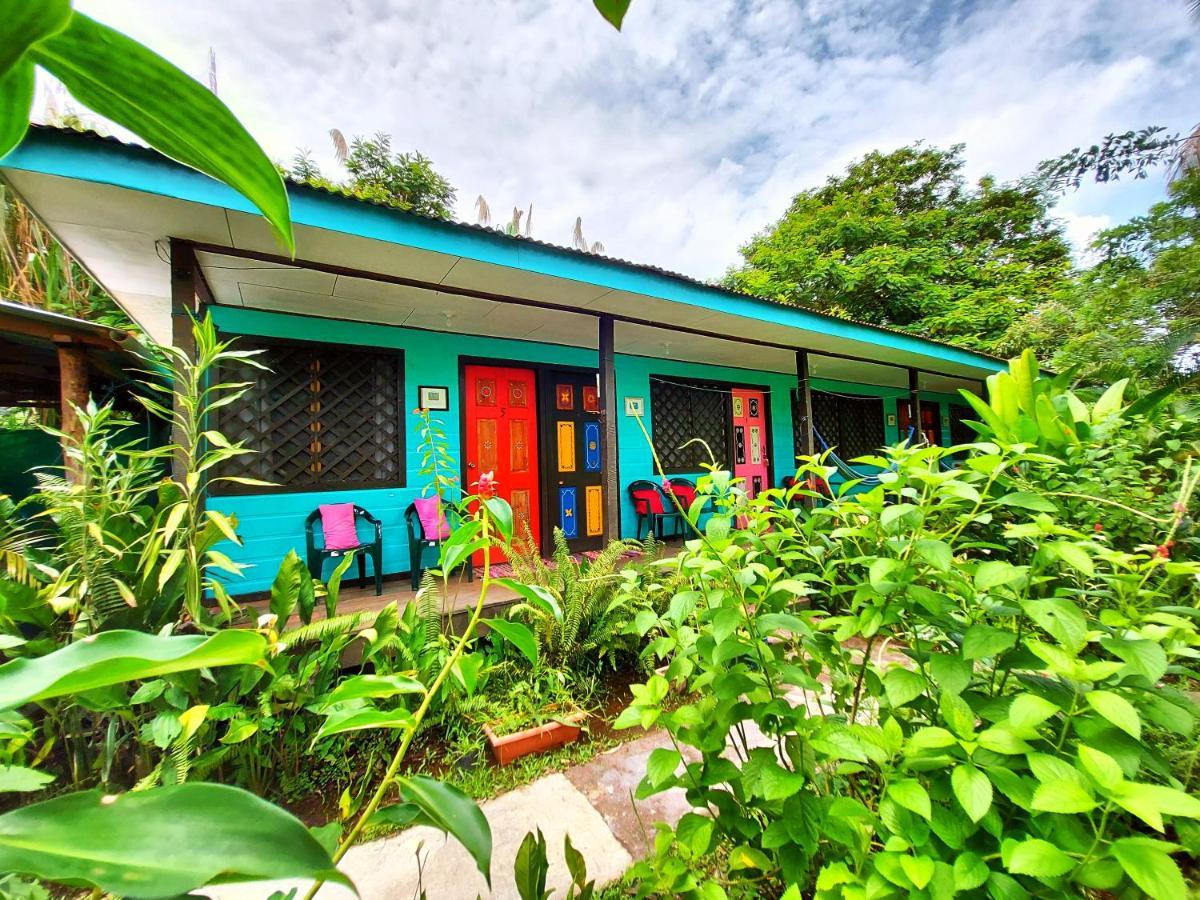 Cabinas Tortuguero Eksteriør billede