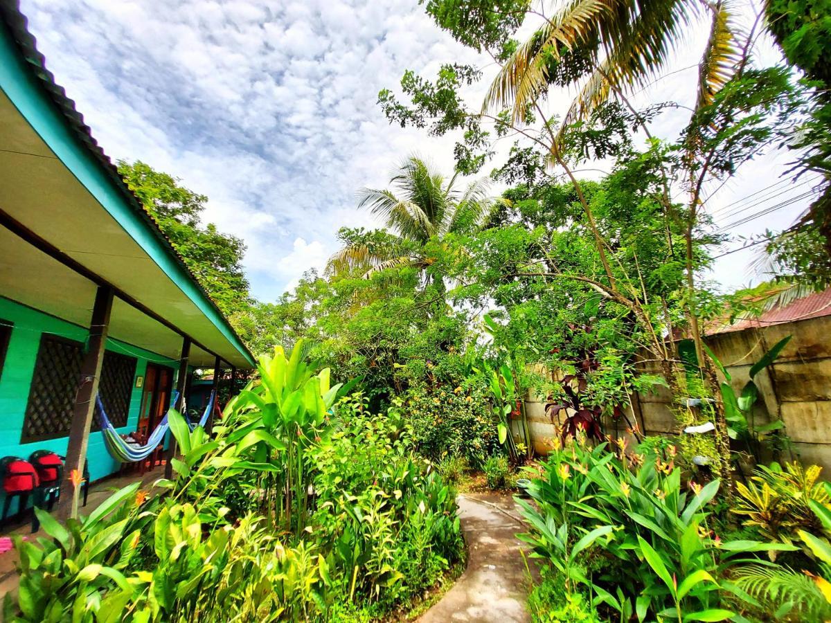 Cabinas Tortuguero Eksteriør billede