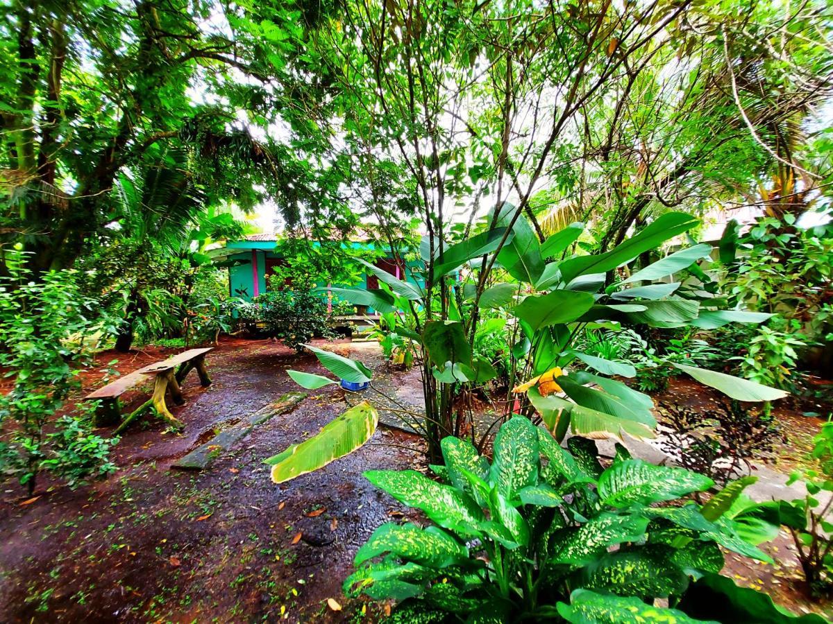 Cabinas Tortuguero Eksteriør billede