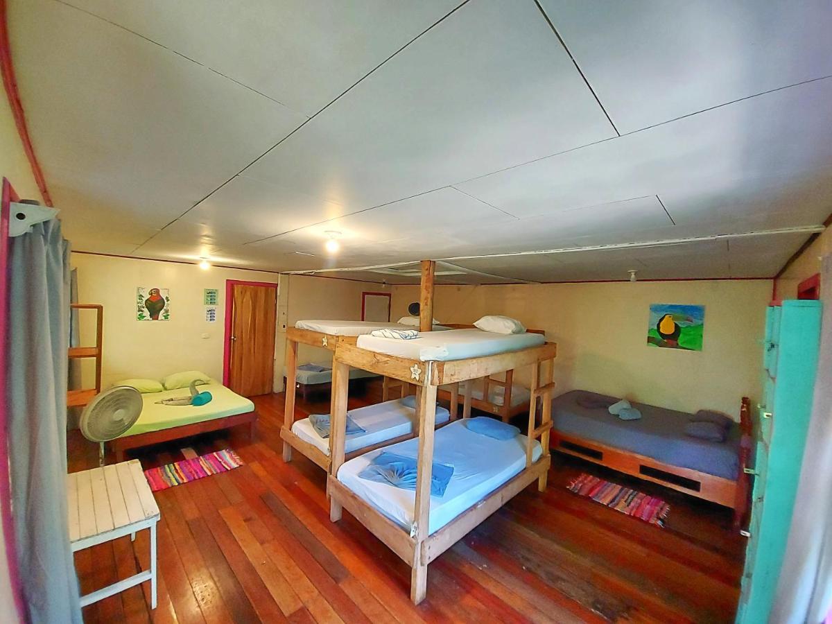 Cabinas Tortuguero Eksteriør billede