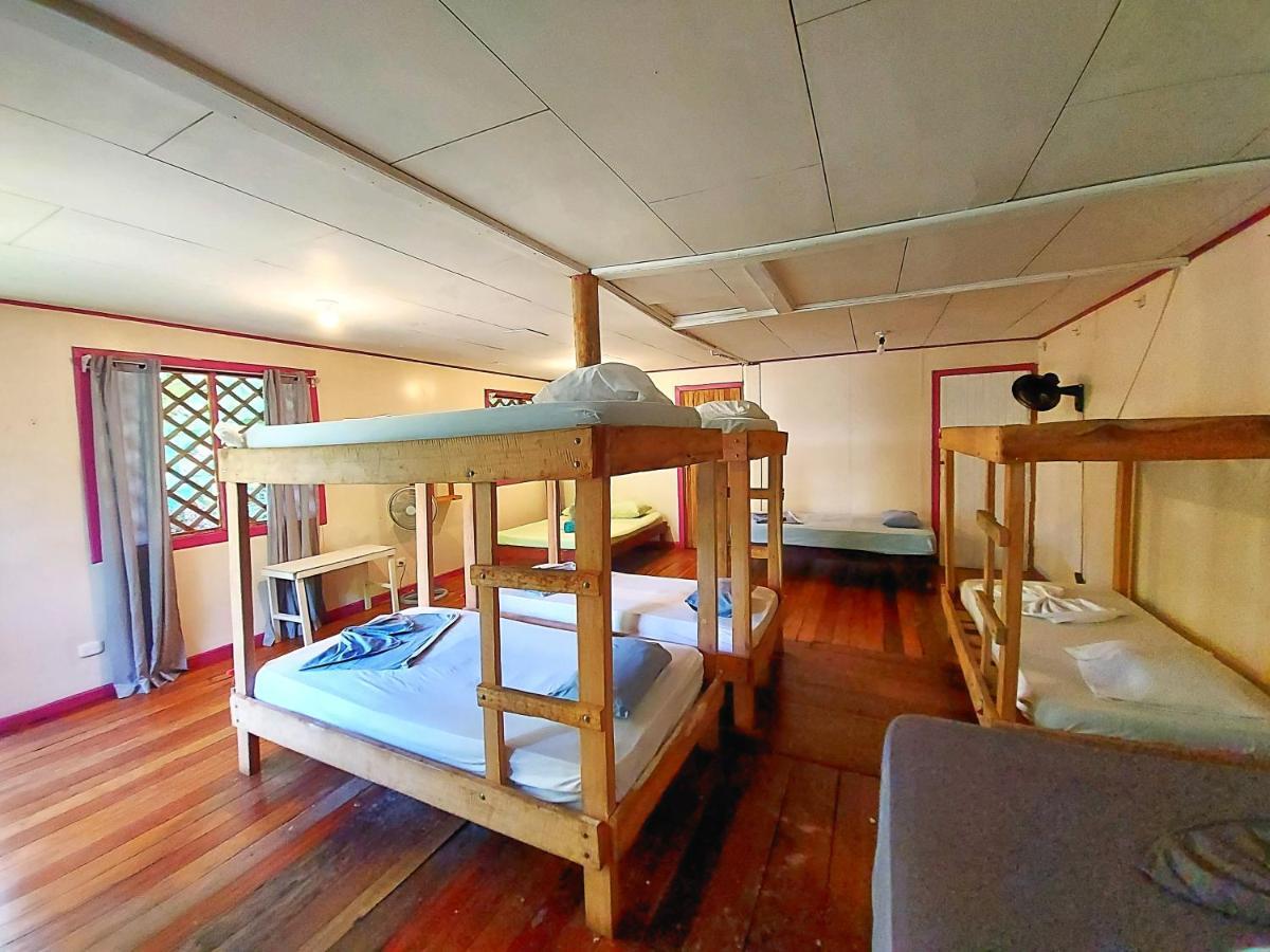 Cabinas Tortuguero Eksteriør billede