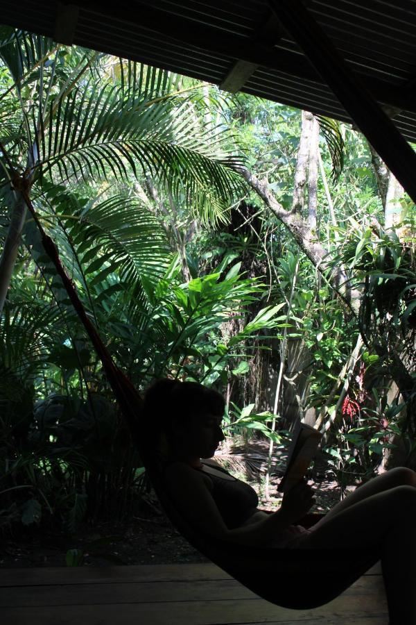 Cabinas Tortuguero Eksteriør billede
