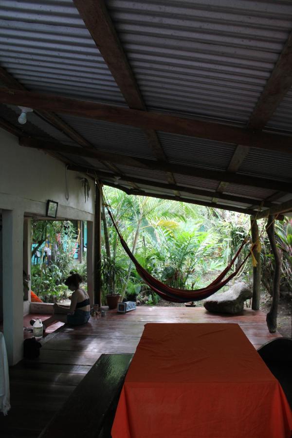 Cabinas Tortuguero Eksteriør billede