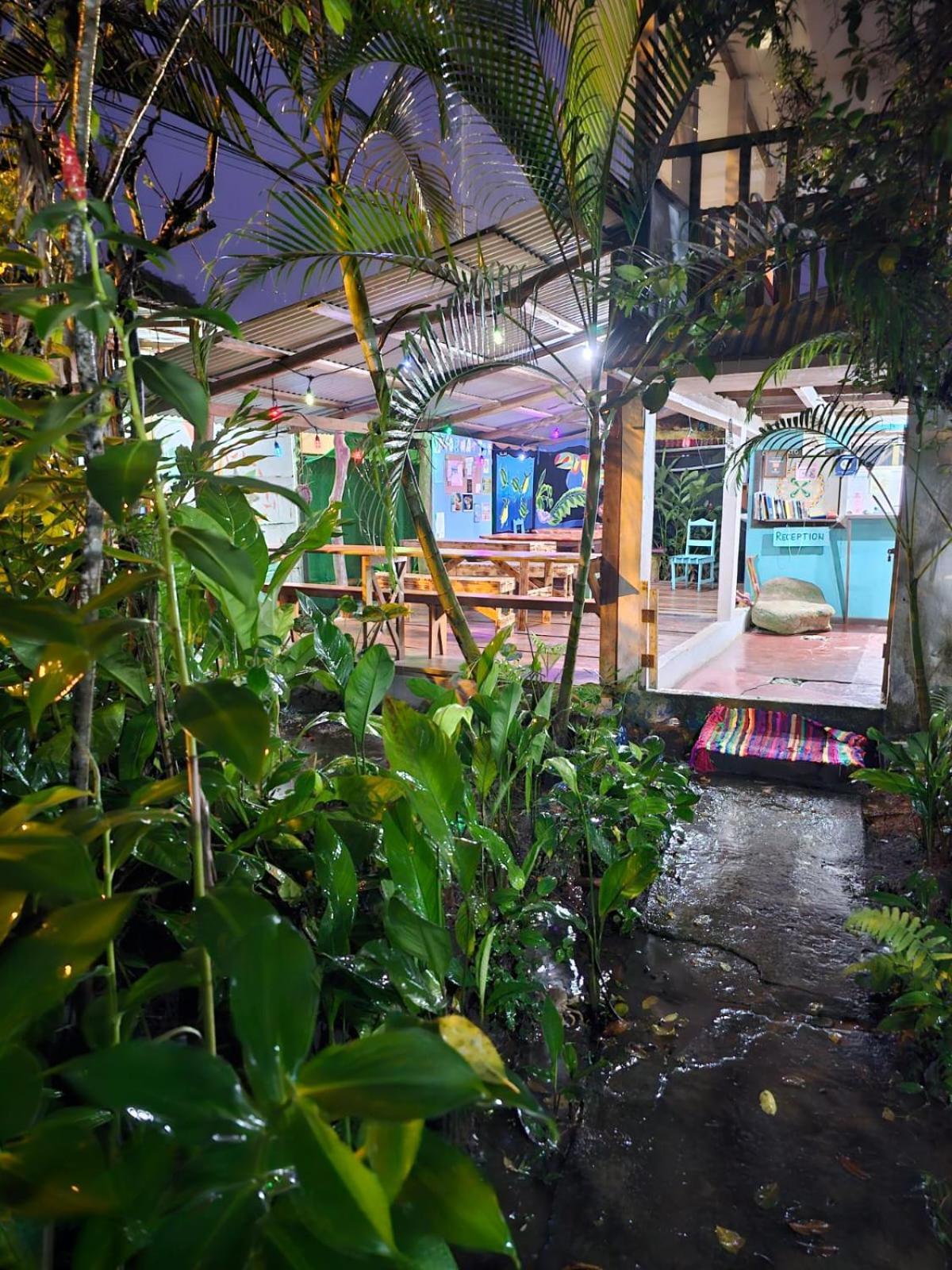 Cabinas Tortuguero Eksteriør billede