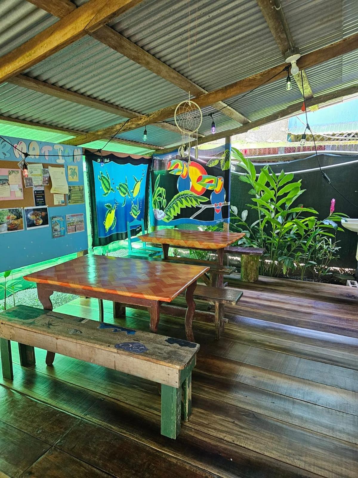 Cabinas Tortuguero Eksteriør billede