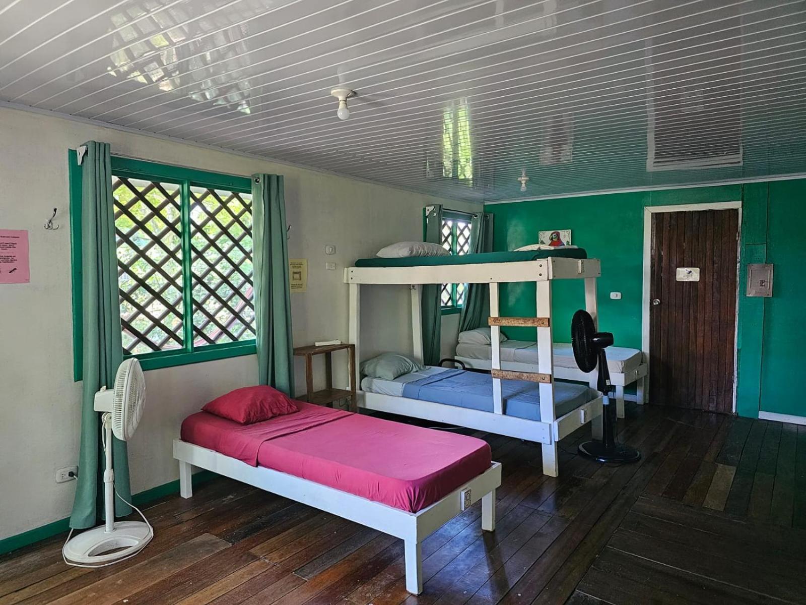 Cabinas Tortuguero Eksteriør billede