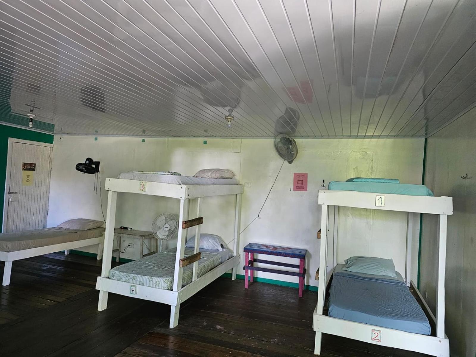 Cabinas Tortuguero Eksteriør billede