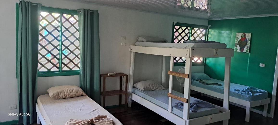 Cabinas Tortuguero Eksteriør billede