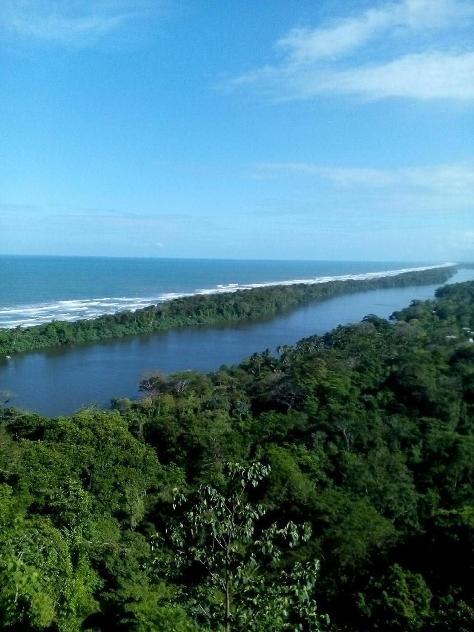 Cabinas Tortuguero Eksteriør billede