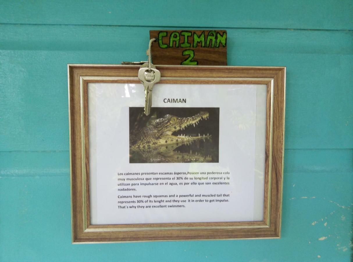 Cabinas Tortuguero Eksteriør billede